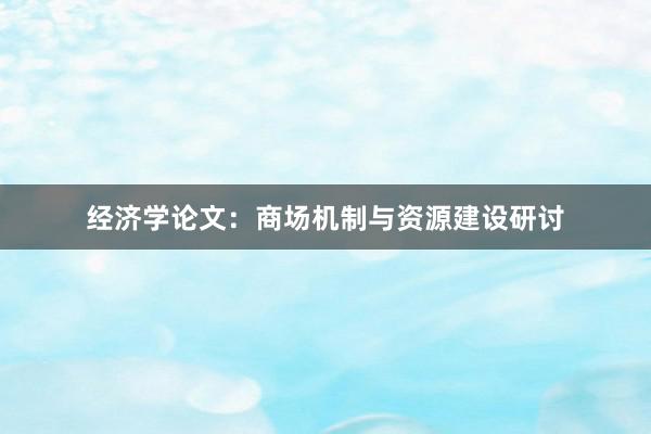 经济学论文：商场机制与资源建设研讨