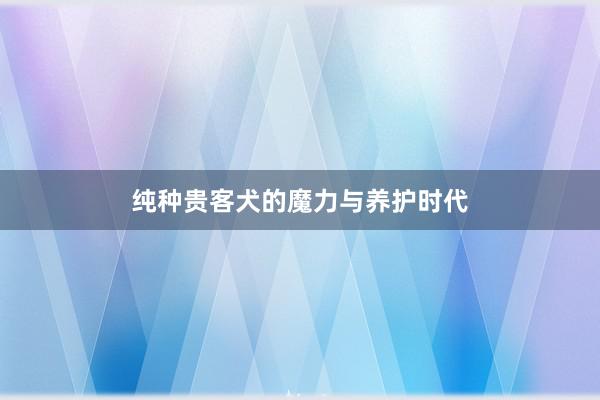 纯种贵客犬的魔力与养护时代